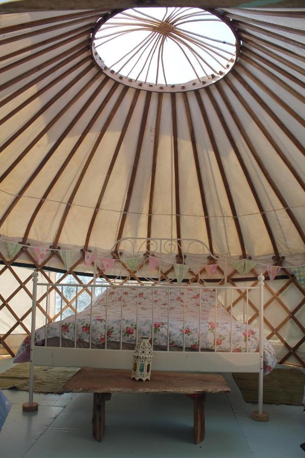 Mill Haven Place Glamping-Yurt 2 Haverfordwest Εξωτερικό φωτογραφία
